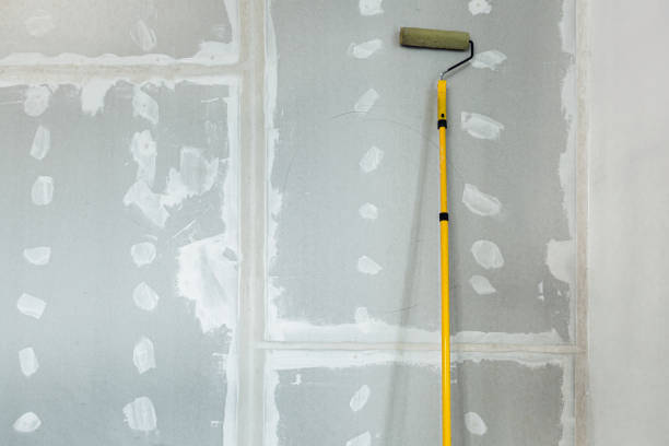 Best Water-Damaged Drywall Repair  in Hickman, KY